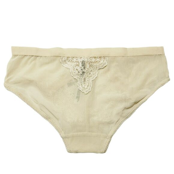 FREE PEOPLE Daydreamer hipster embroidered mesh panties in nude combo Sz XS NEW - Picture 2 of 6